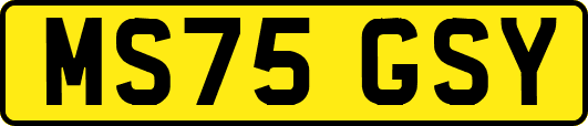 MS75GSY