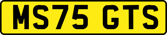 MS75GTS
