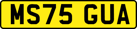 MS75GUA