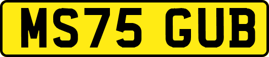 MS75GUB