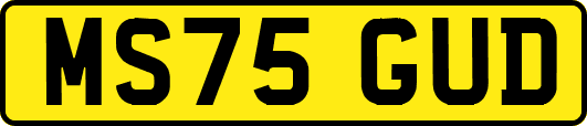 MS75GUD