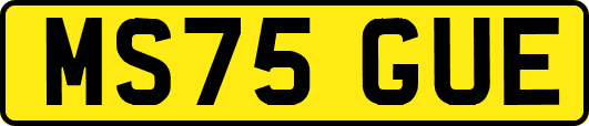 MS75GUE