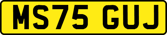 MS75GUJ