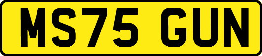 MS75GUN