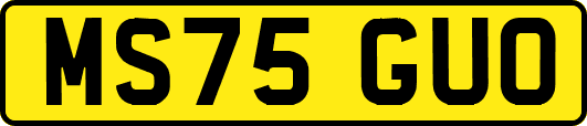 MS75GUO