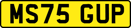MS75GUP