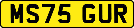 MS75GUR