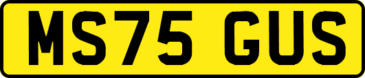 MS75GUS