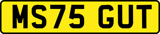 MS75GUT