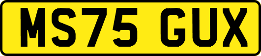 MS75GUX
