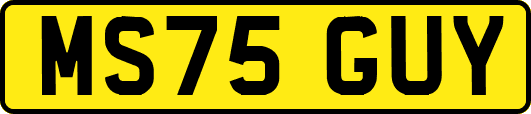 MS75GUY