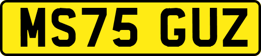 MS75GUZ