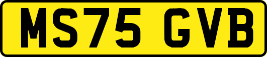 MS75GVB