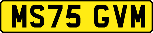 MS75GVM