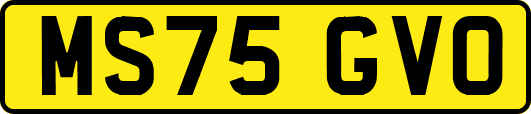 MS75GVO