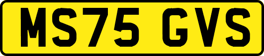 MS75GVS