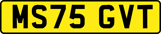 MS75GVT