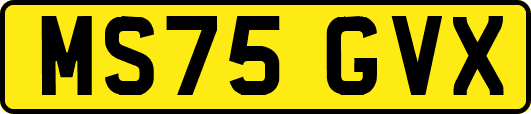 MS75GVX