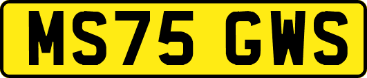 MS75GWS