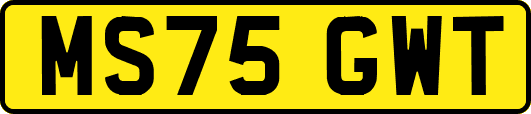 MS75GWT