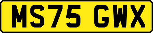 MS75GWX