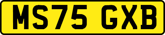 MS75GXB