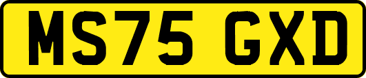 MS75GXD