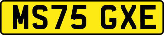 MS75GXE
