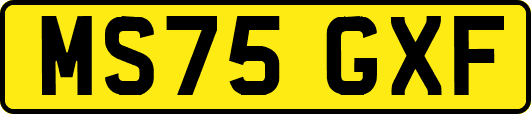 MS75GXF