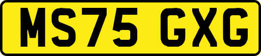 MS75GXG