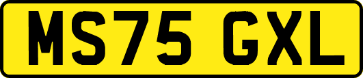 MS75GXL