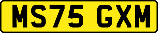 MS75GXM