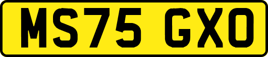 MS75GXO