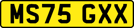 MS75GXX