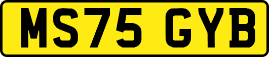 MS75GYB