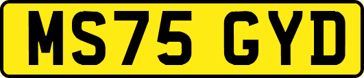 MS75GYD