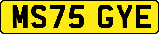 MS75GYE