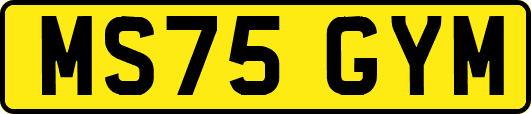 MS75GYM