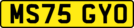 MS75GYO