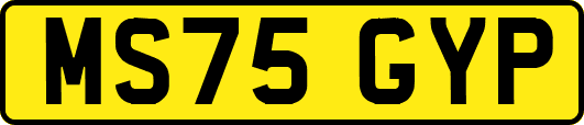 MS75GYP