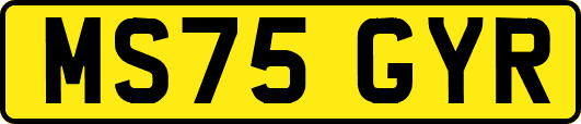 MS75GYR
