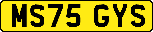 MS75GYS