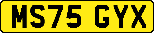 MS75GYX