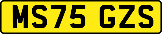 MS75GZS