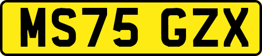 MS75GZX