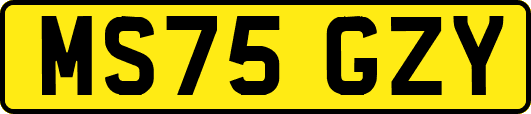 MS75GZY