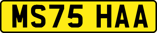 MS75HAA