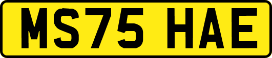MS75HAE