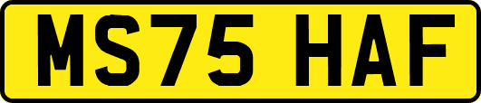 MS75HAF