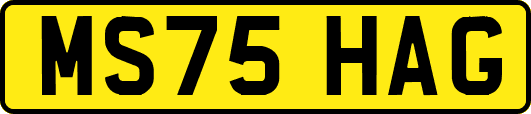 MS75HAG